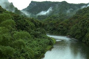 Río Platano Biosphere Reserve