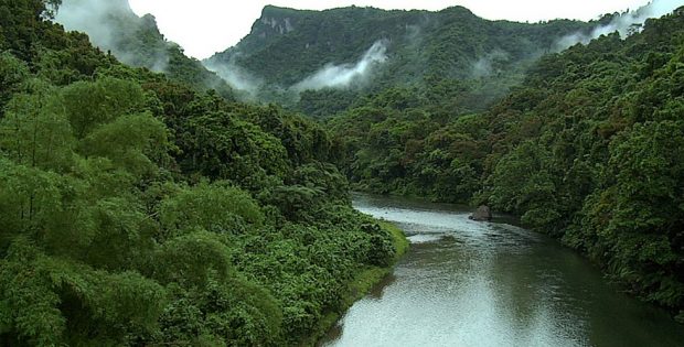 Río Platano Biosphere Reserve